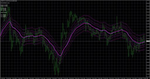 Vegas Currency Dailyの表示画像